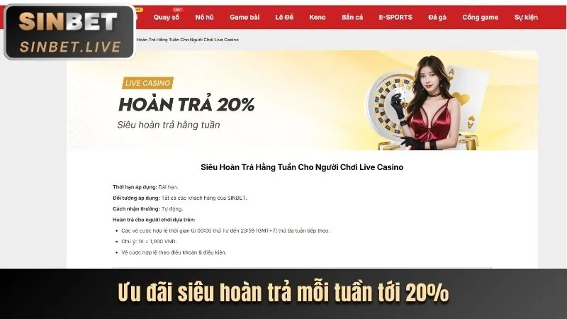 Giao diện cài đặt cookie trong trình duyệt web
